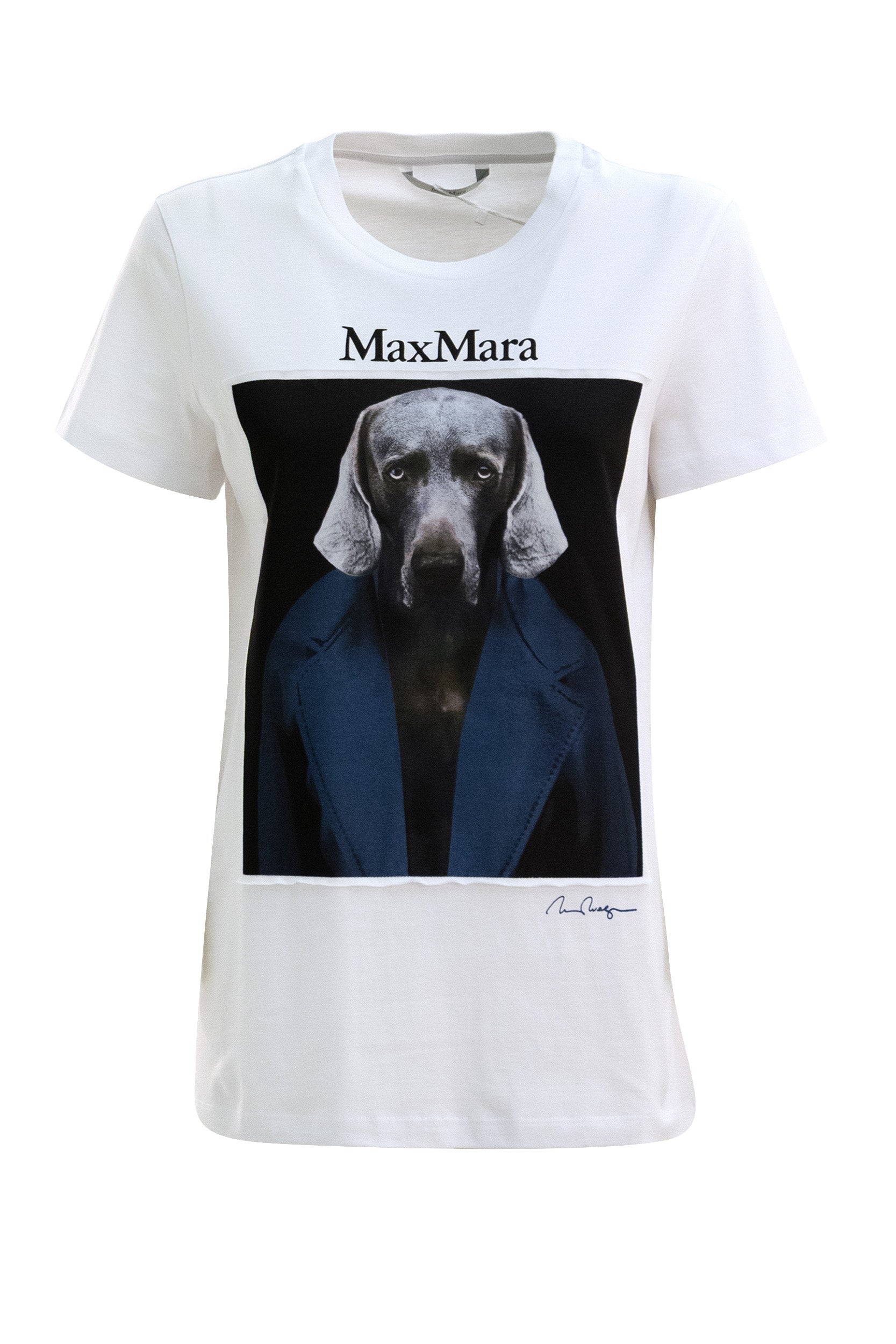 T-shirt in jersey di colore bianco<BR/> MXMCALCA 009 MAX MARA 